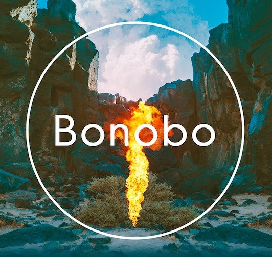 Bonobo